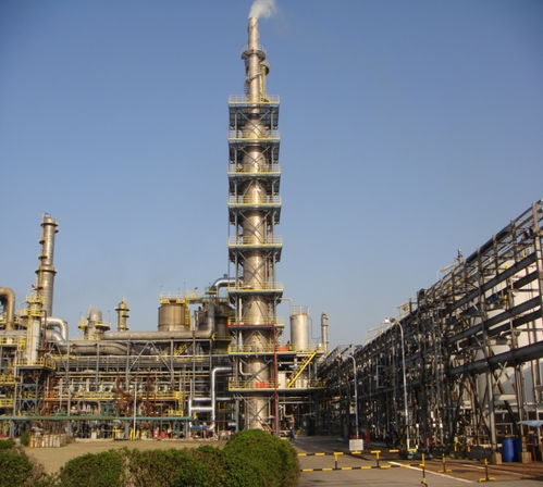 走近零碳 上?；^(qū)調(diào)研 企業(yè)減排看效益,園區(qū)須加強(qiáng)統(tǒng)籌