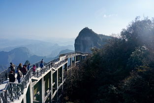 張家界旅游怎么樣？深度解析張家界旅行的迷人之處與實用建議
