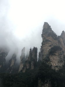 張家界旅游怎么樣——探秘人間仙境的真實體驗